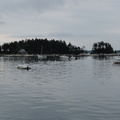 DSC02554